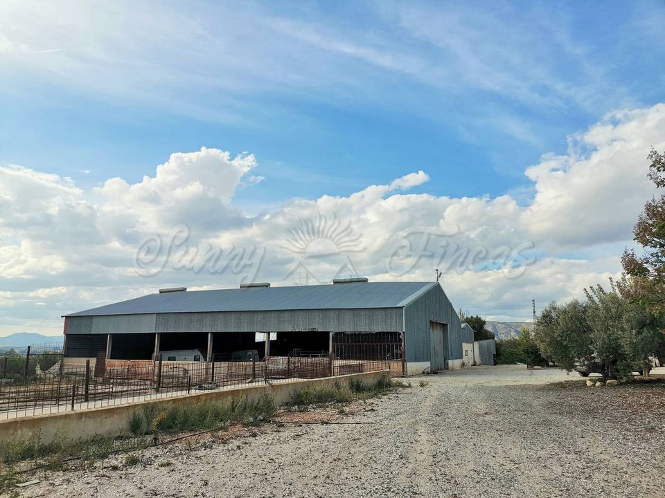Farm hus i Villena, Alicante - foto 1